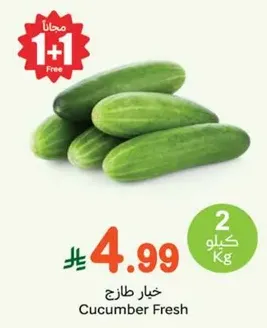 Fresh Cucumber