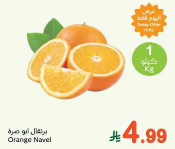Navel Orange