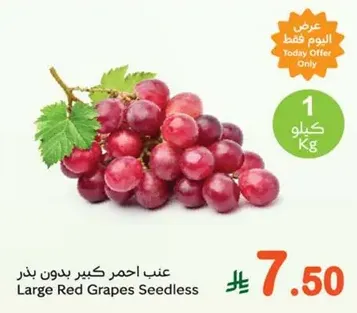 Large Red Grapes Seedless