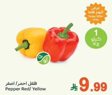 فلفل احمر / اصفر