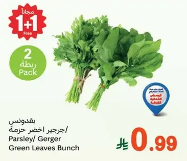 بقدونس/ جرجر اخضر حزمه