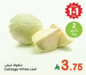 Cabbage White Leaf