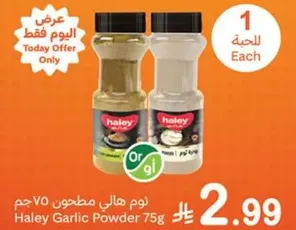 Haley Garlic Powder 75g