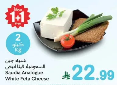 Saudia Analogue White Feta Cheese