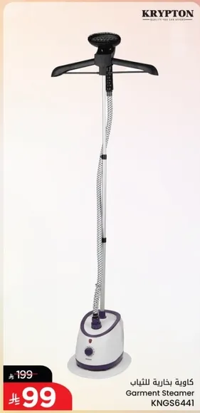 Garment Steamer