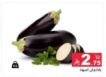 باذنجان اسود طازج.