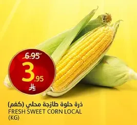 ذره حلوه طازجه محلي