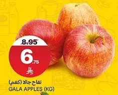 تفاح جالا (كغم)