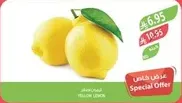 Yellow lemon