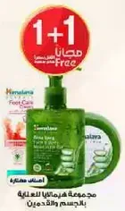 A set of products for body care with aloe vera.