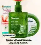 A collection of products for body and foot care with aloe vera.