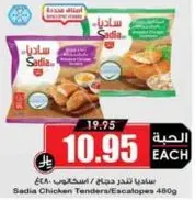 ساديـا تندرج دجاج / اسكـالوب 480غ