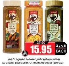 بهارات باربكيو/كاري/عثمانيه الفرعي (300 جرام)