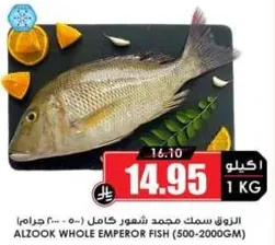 الزوك سمك مجمد شعور كامل (500-2000جرام)