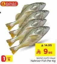 Nahroor Fish Per Kg