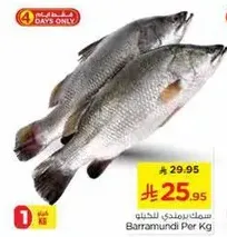 سمك برمندي للخياطه