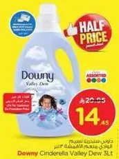 Downy Cinderella Valley Dew 3L