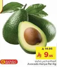 افوكادو كيني للخضار
