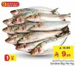 Sardine Big Per Kg
