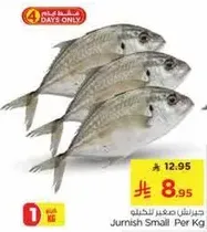 Jurnish Small Per Kg