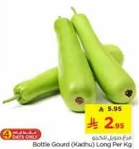 قرع زجاجي (كادهو) طويل لكل كيلو