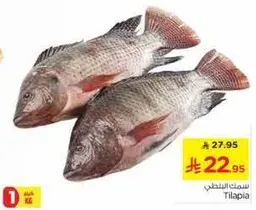 Tilapia fish, fresh and ready for cooking.