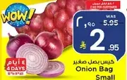 كيس بصل صغير