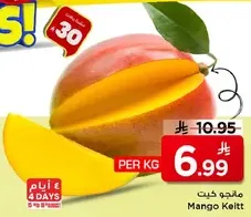 مانجو كيت