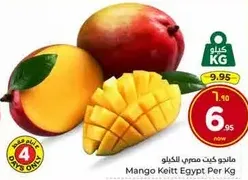 مانجو كيت مصري بالكيلو