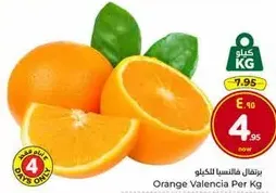 برتقال فالنسيا لكل كيلو