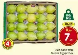 جوافه مصريه كرتون