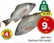 Nahroor fish small