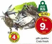 Fresh crab