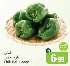 فلفل بارد اخضر