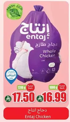 دجاج انتاج دجاج طازج