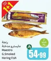 مايسترو سمك الرنجه المدخنه