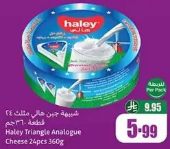 جبنه مثلثات هالي 24 قطعه 360 جرام