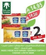 جبنه نادك شريحه برجر/ساندويتش كابتن/شيدر/قليل الدسم 200غ