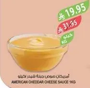 American cheddar cheese sauce 1kg