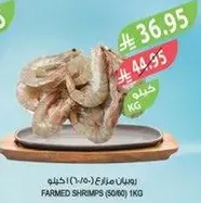 FARMED SHRIMPS (SIZED 30/40) 1KG