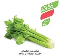 كرفس بلدي او اسباني