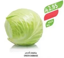 ملفوف اخضر