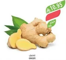 Ginger