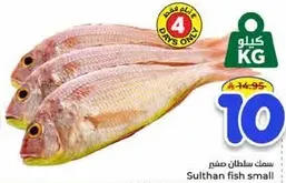 Small Sultan fish