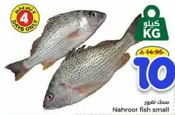 Nahroor fish small