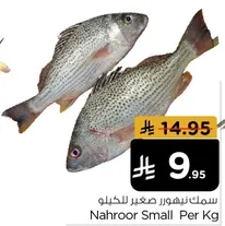 Nahroor Small Per Kg