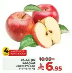 تفاح بوال جالا فرنسي الكيلو