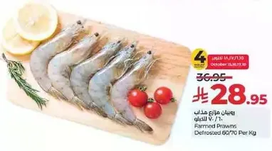 روبيان مزرعه مدابغ 60/70 للكيلو