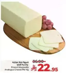 Poland Mozzarella Analogue Cheese Per Kg