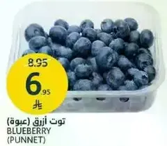 توت ازرق (عبوه)
